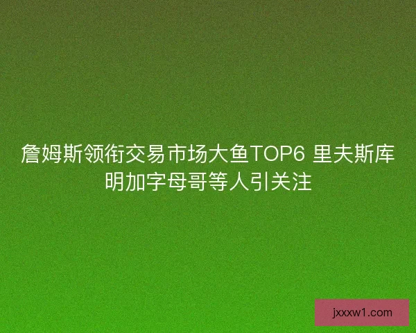 詹姆斯领衔交易市场大鱼TOP6 里夫斯库明加字母哥等人引关注